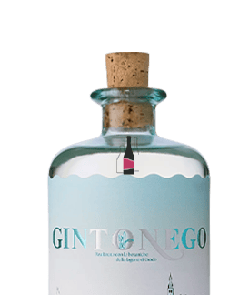 GINTONEGO
