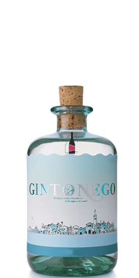 GINTONEGO