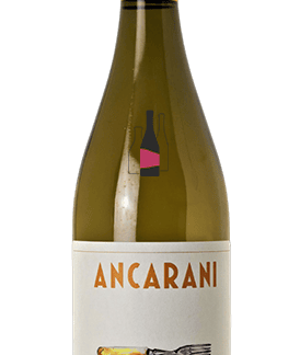 PERLAGIOIA ALBANA 2024 ANCARANI