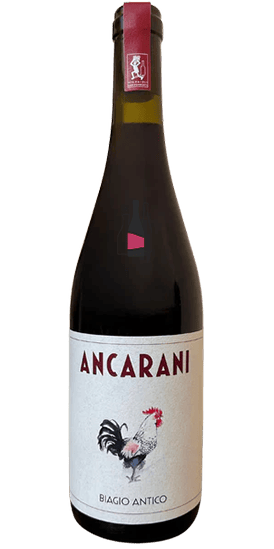 BIAGIO ANTICO SANGIOVESE ORIOLO 2023 ANCARANI