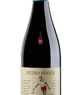VALPOLICELLA 2023 PIETRO ZARDINI