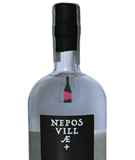 GRAPPA DI RECIOTO DELLA VALPOLICELLA NEPOS VILLAE
