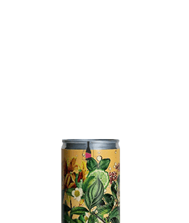 SPARKLING TEA BERGAMOT OOLONG Lattina